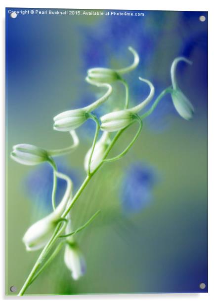 Delphinium Blue Shadow Floral Acrylic by Pearl Bucknall