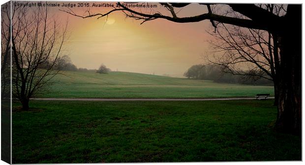  A cold winters morning on parliment hill fields l Canvas Print by Heaven's Gift xxx68
