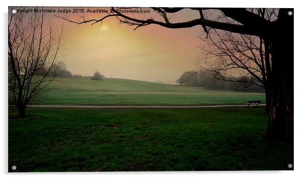  A cold winters morning on parliment hill fields l Acrylic by Heaven's Gift xxx68