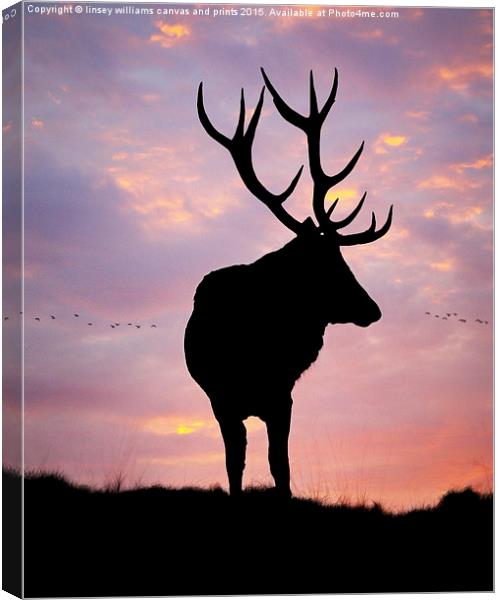 Stag And Sunset  Canvas Print by Linsey Williams