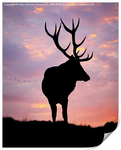 Stag And Sunset  Print by Linsey Williams