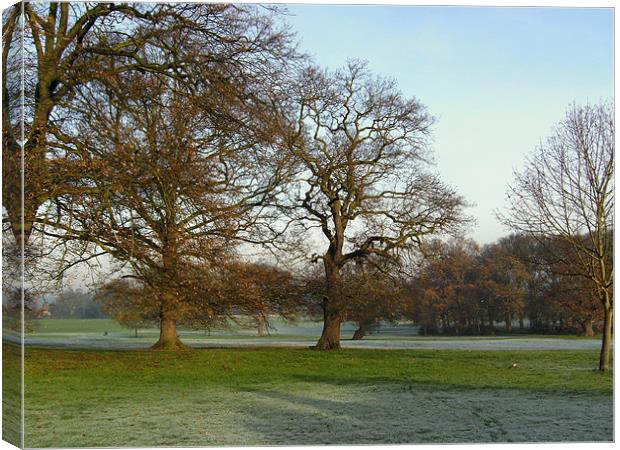 Frosty Morn Canvas Print by Chris Day