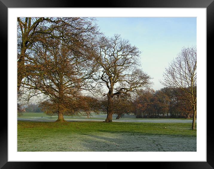 Frosty Morn Framed Mounted Print by Chris Day