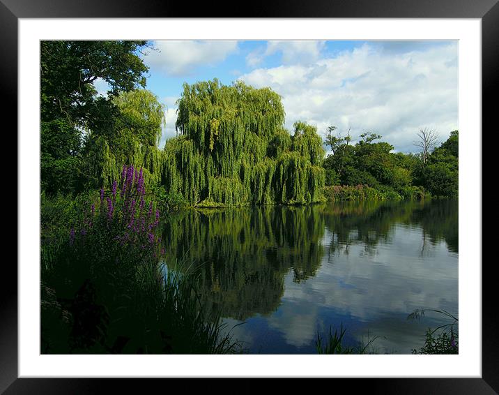 English Riverside Framed Mounted Print by Chris Day