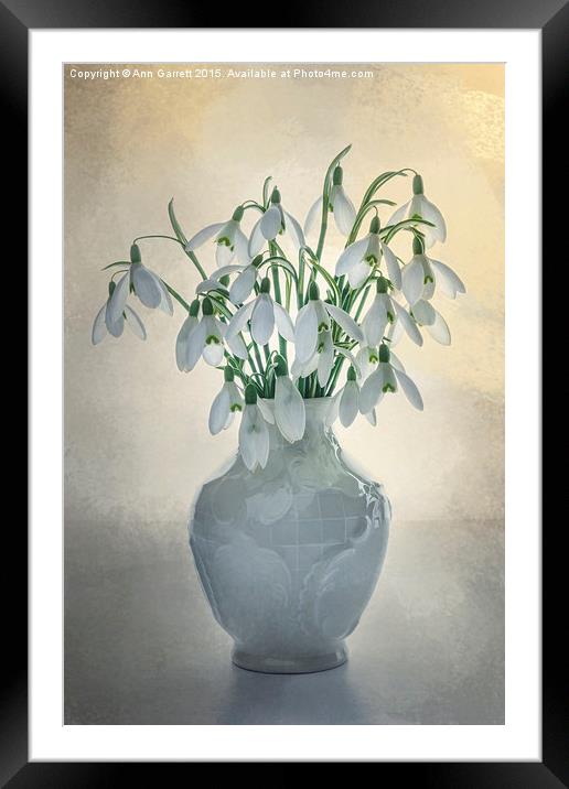 A Vase of Snowdrops Framed Mounted Print by Ann Garrett