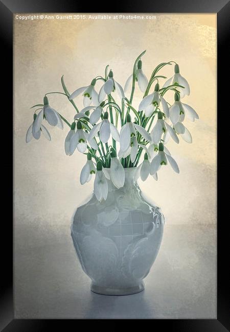 A Vase of Snowdrops Framed Print by Ann Garrett
