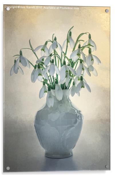 A Vase of Snowdrops Acrylic by Ann Garrett