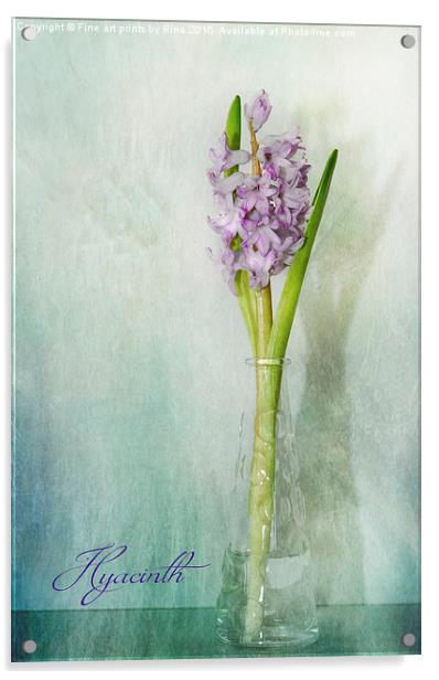  Hyacinth Acrylic by Fine art by Rina