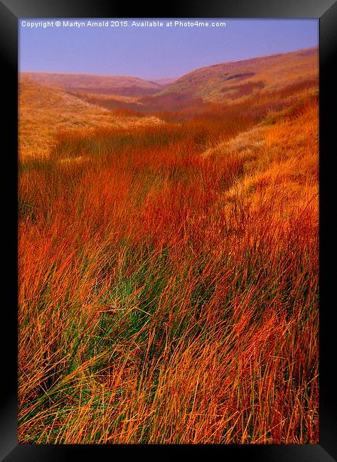 Moorland Grass in the Yorkshire Dales Framed Print by Martyn Arnold