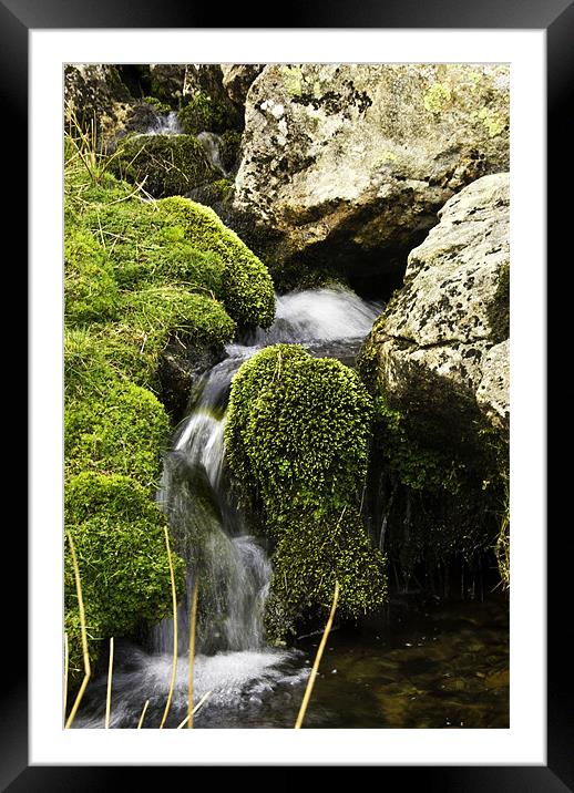 Babbling Brook Framed Mounted Print by James Lavott