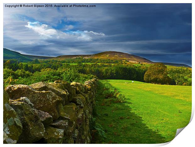  Yorkshire, looking it,s best again. Print by Robert Gipson