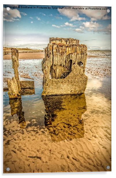  Groynes on Seamill Beach Acrylic by Tylie Duff Photo Art