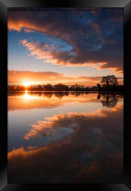 Sunrise Symmetry  Framed Print by Tracey Whitefoot