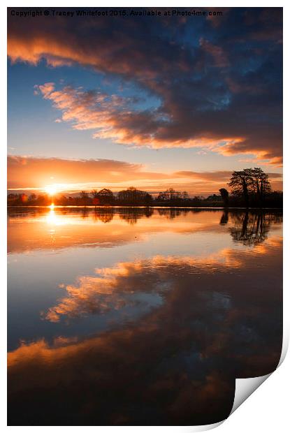 Sunrise Symmetry  Print by Tracey Whitefoot