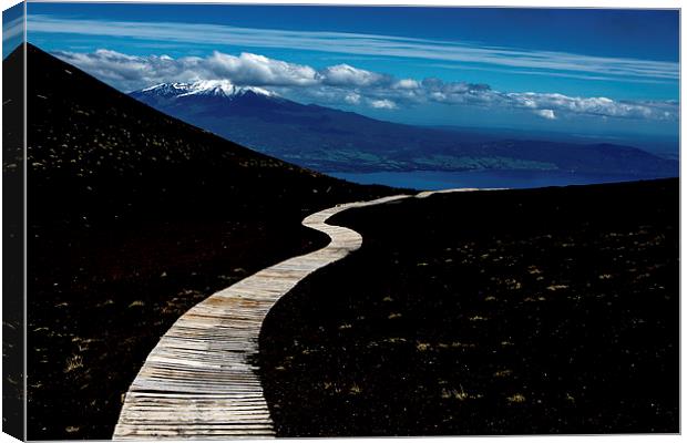  Long and winding Way Canvas Print by David Hare