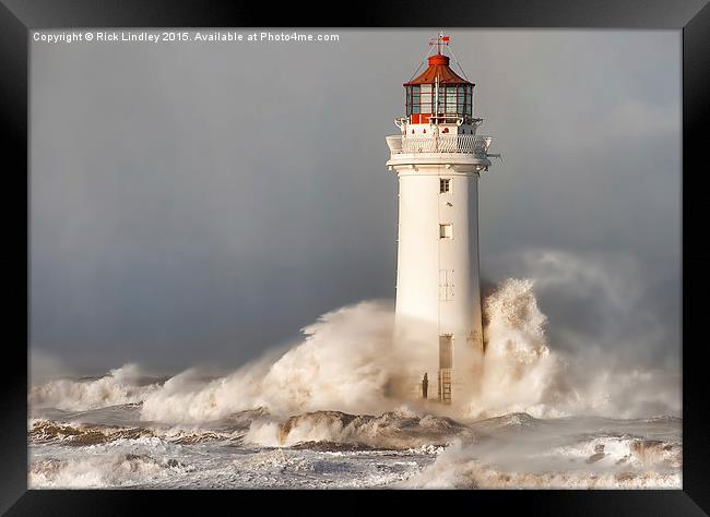  The Storm Framed Print by Rick Lindley