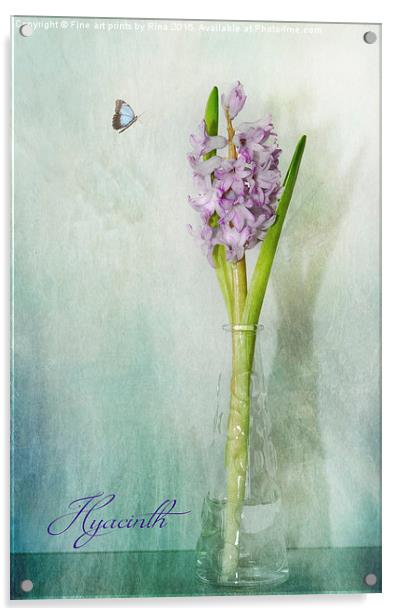  Hyacinth (1a)  Acrylic by Fine art by Rina