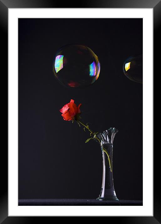 Thorns & Bubbles Framed Mounted Print by James Lavott