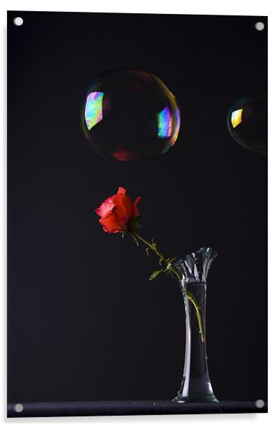 Thorns & Bubbles Acrylic by James Lavott