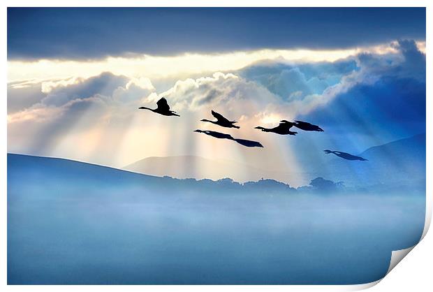  Dawn flight Print by Robert Fielding