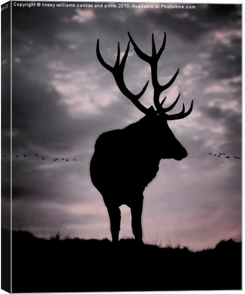 Stag And Sunset 2 Canvas Print by Linsey Williams