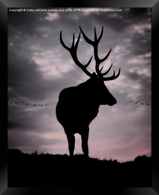 Stag And Sunset 2 Framed Print by Linsey Williams
