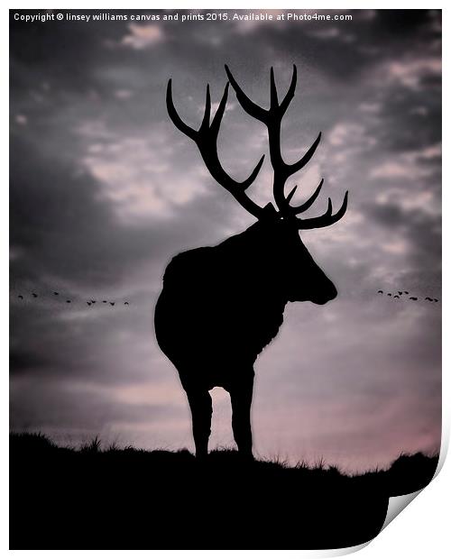 Stag And Sunset 2 Print by Linsey Williams