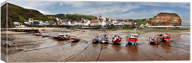 Staithes Harbour, N Yorks, UK  Canvas Print by Donald Parsons