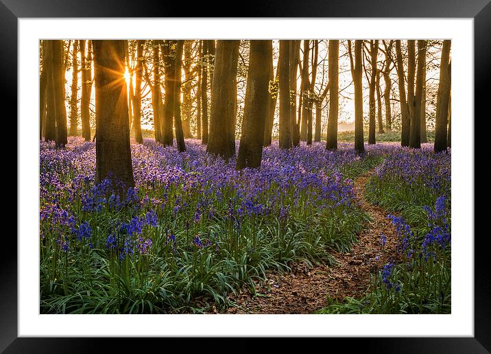  A morning stroll Framed Mounted Print by Philip Male