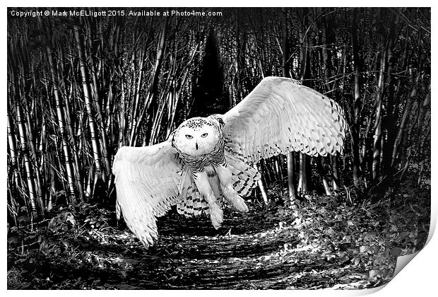 Snow Owl  Print by Mark McElligott