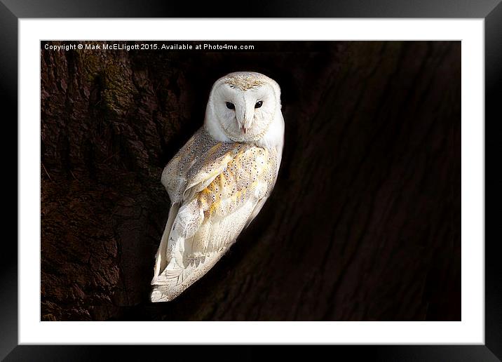 watching me watching you, so beautiful and timid,  Framed Mounted Print by Mark McElligott