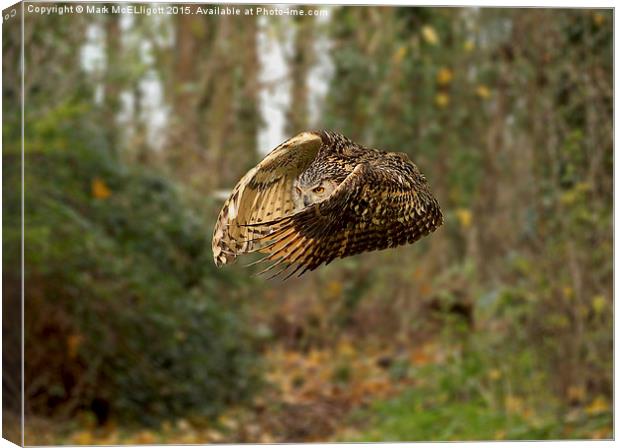  Eagle Owl Canvas Print by Mark McElligott