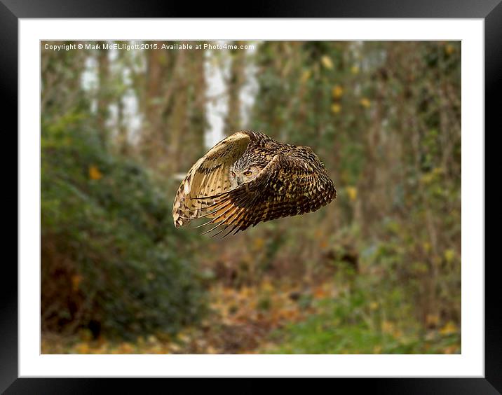  Eagle Owl Framed Mounted Print by Mark McElligott