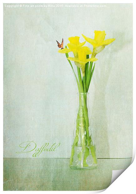  Daffodil Print by Fine art by Rina