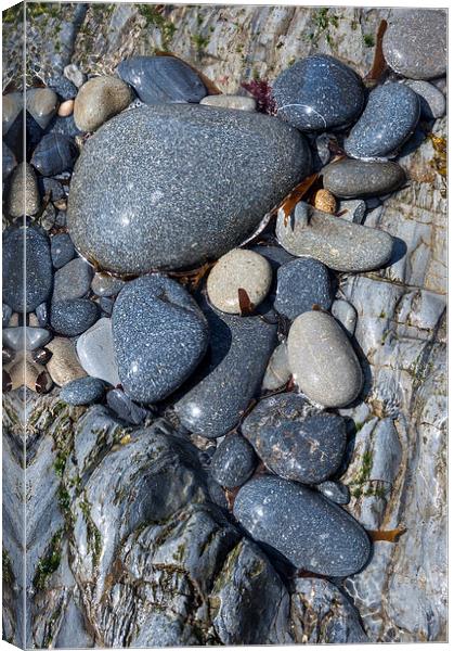  Smooth and shiny, Pebbles at Porth y Rhaw, Wales Canvas Print by Andrew Kearton