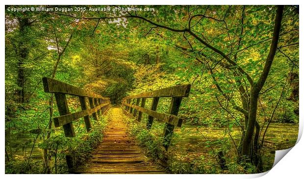   Millers Dale footbridge Darbyshire  Print by William Duggan