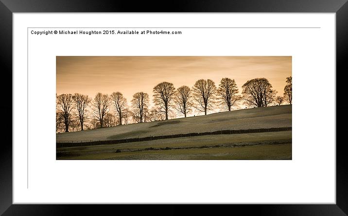  Treeline at dusk Framed Mounted Print by Michael Houghton