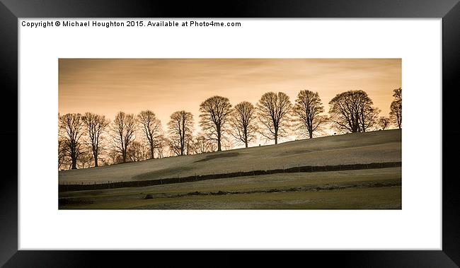  Treeline at dusk Framed Print by Michael Houghton