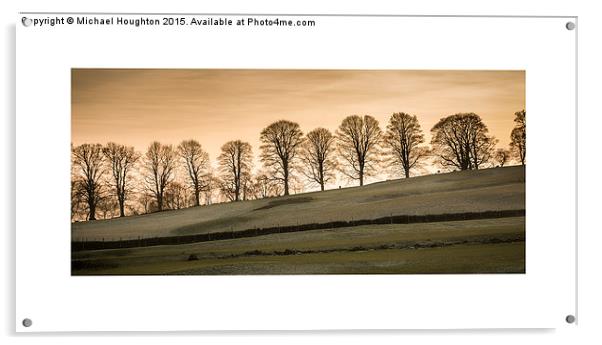  Treeline at dusk Acrylic by Michael Houghton