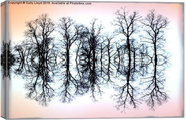 Symmetrical Trees  Canvas Print by Sally Lloyd