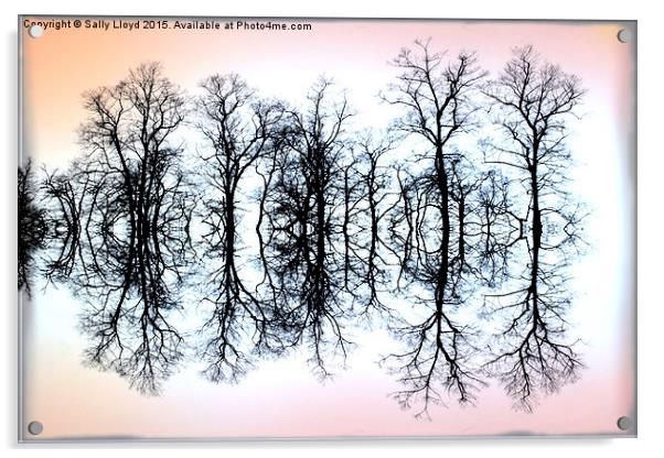  Symmetrical Trees  Acrylic by Sally Lloyd