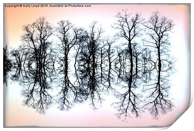  Symmetrical Trees  Print by Sally Lloyd