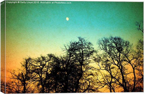  Vintage Moon and trees Canvas Print by Sally Lloyd