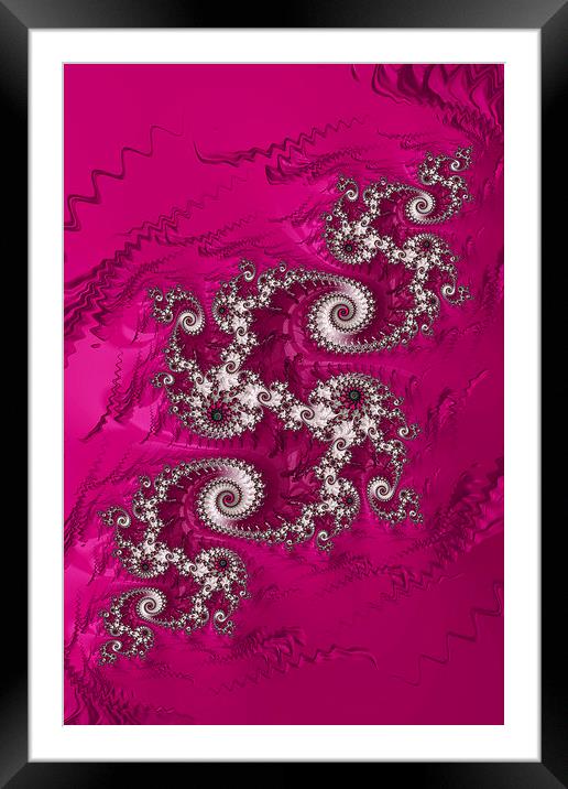 Pink Beauty Framed Mounted Print by Steve Purnell