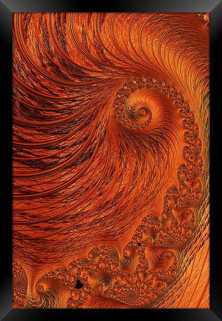 Orange Lily Fractal Framed Print by Steve Purnell