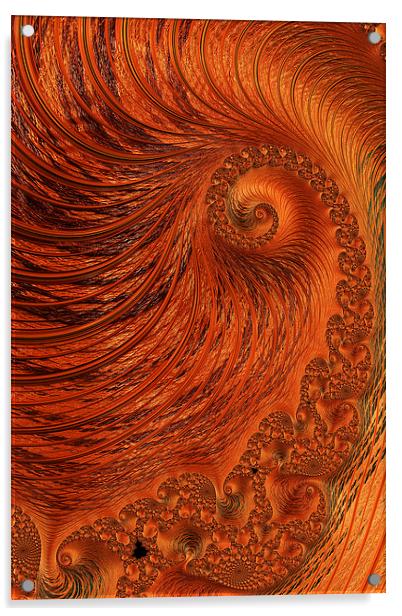 Orange Lily Fractal Acrylic by Steve Purnell