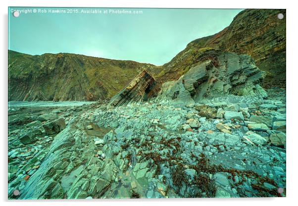  Hartland Geology  Acrylic by Rob Hawkins