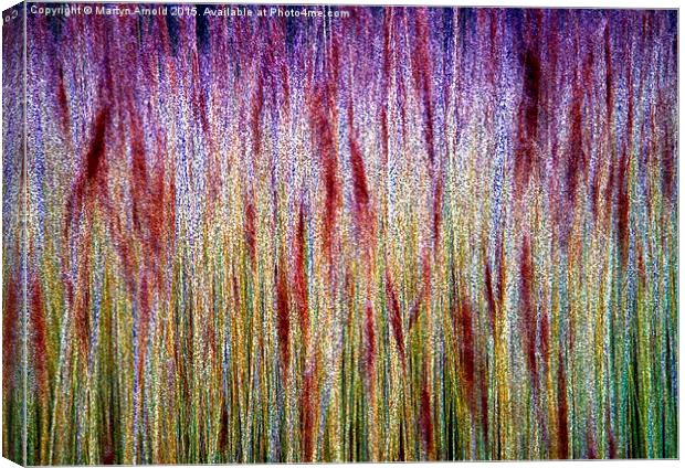  lakeside Grasses - Abstract Canvas Print by Martyn Arnold