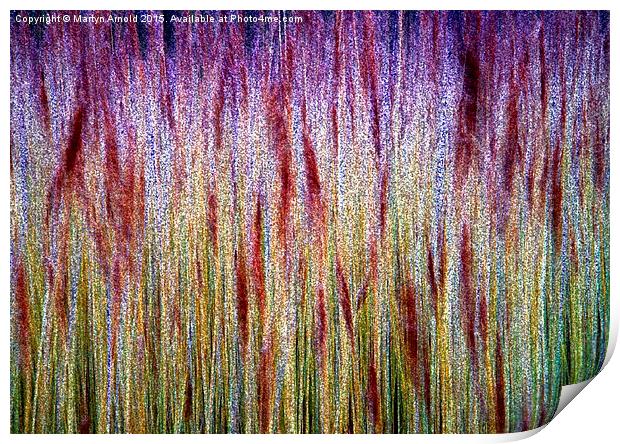  lakeside Grasses - Abstract Print by Martyn Arnold