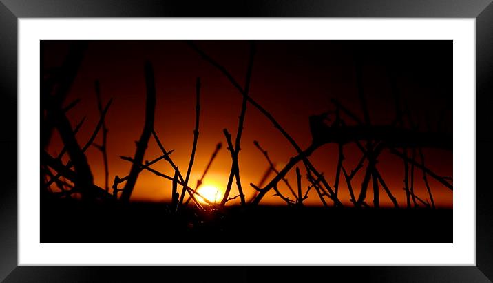  Belvoir Sunrise Framed Mounted Print by Andy McDonald